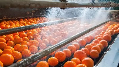 水果罐头厂废水高效处理方案