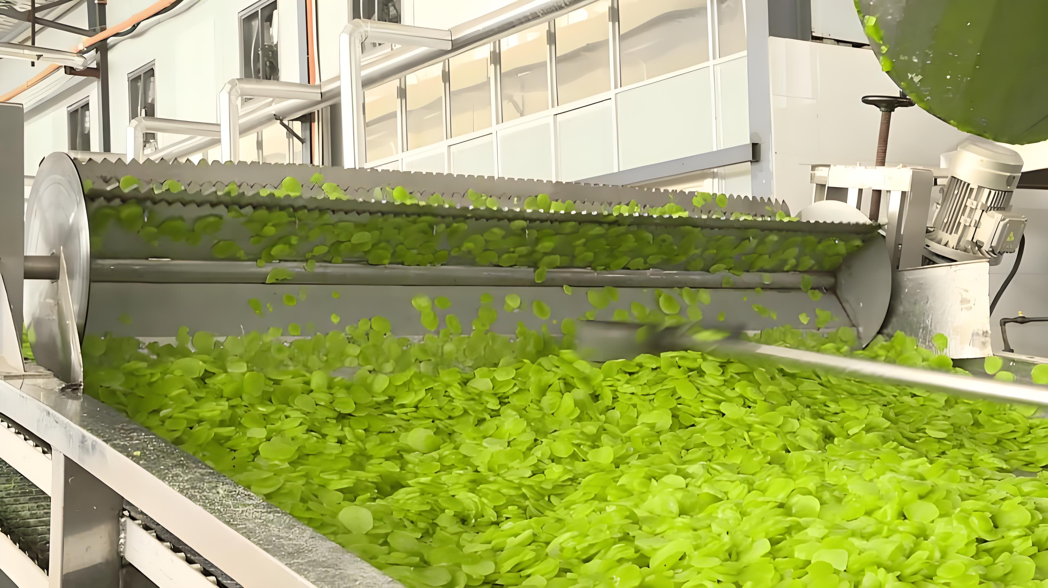 蔬菜加工废水怎么处理？