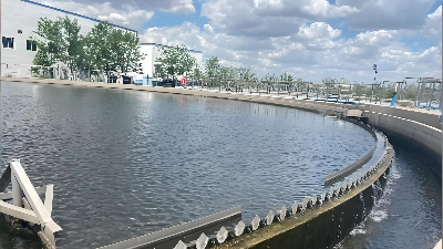 二沉池发黑如何解决