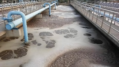 食品加工废水处理工艺流程大概什么样