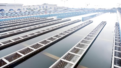 重金属废水处理技术研究进展与未来展望