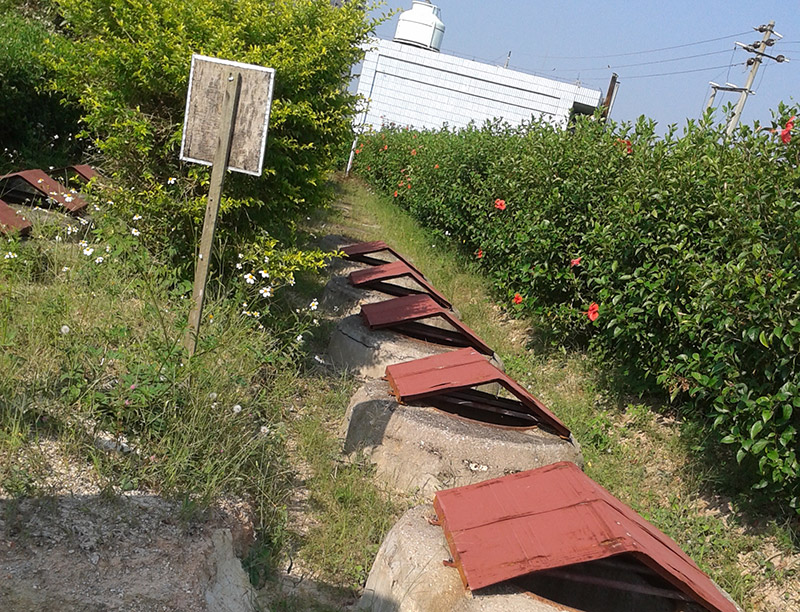 宝岛公司生活污水处理案例