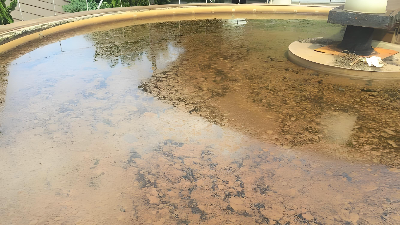 水解酸化池污泥上浮对策