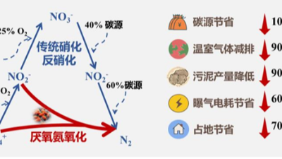 高氨氮废水厌氧氨氧化高效低碳脱氮技术