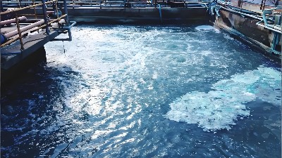 电镀含镍废水总处理不达标怎么办