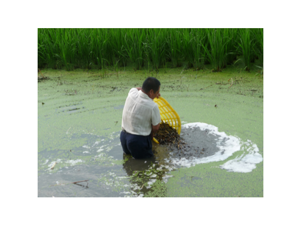 养殖行业养虾废水处理解决方案